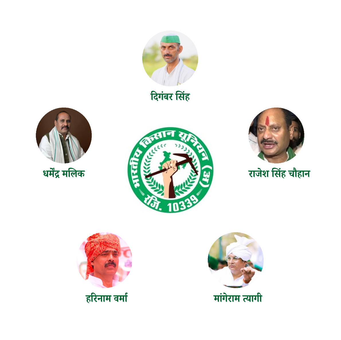 भारतीय किसान यूनियन संगठन